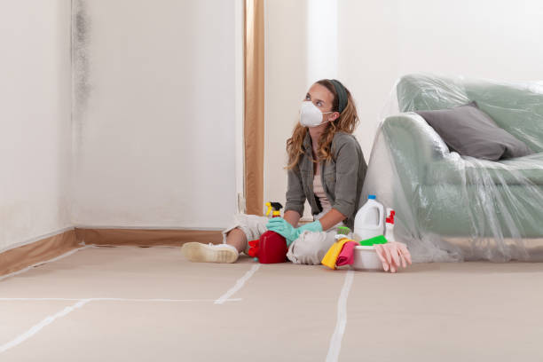 Reliable Mold Remediation contractor in Wharton, TX by WQB Mold Removal